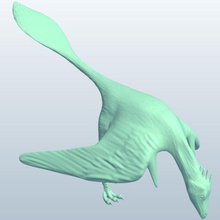 rahonavis v1 dinozorlar yazdırılabilir lowpoly 3d print model - Mito3D