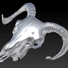 ram skull animal furnishings head lucky hunter 2008 model 3d print model - Mito3D