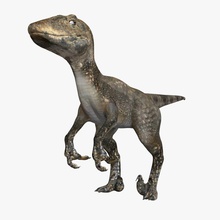 raptor 3d hayvan yaratıklar dcbittorf dino dinozorlar ücretsiz jurassic kertenkeleler daha düşük lowpoly maya model canavar otopark poly gerçekçi sürüngenler rex korkutucu t velociraptor dünya zbrush 3d print model - Mito3D