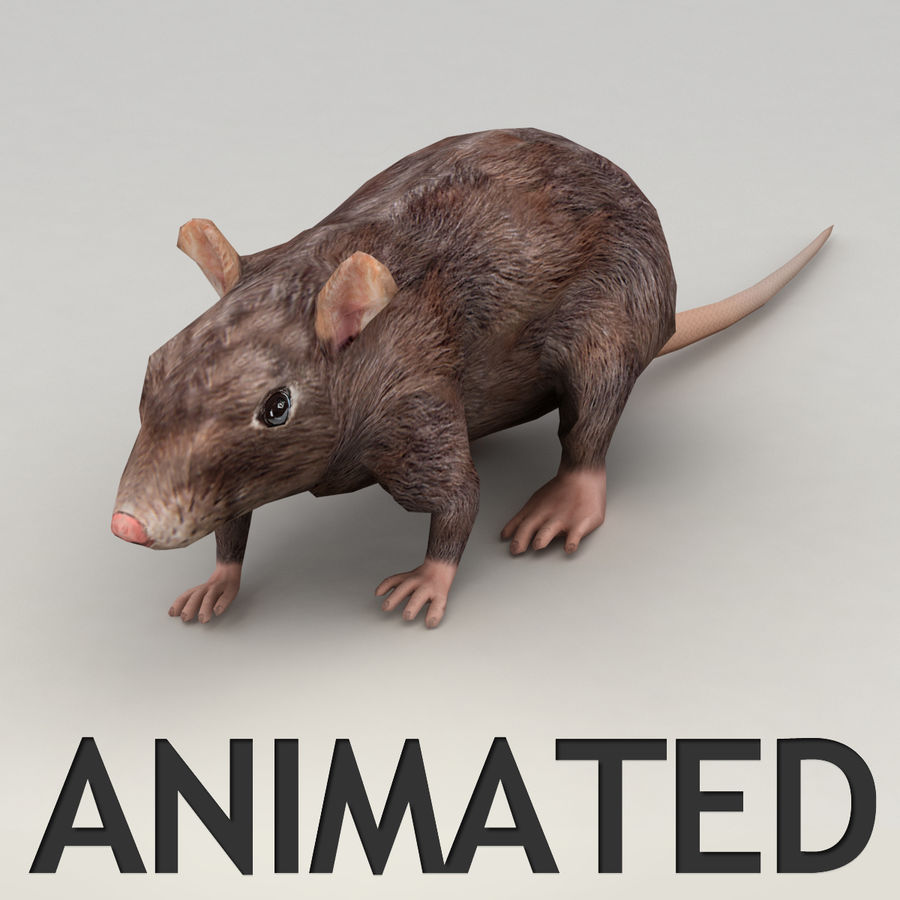 rat modèle d'animation animal animées os gris kvakling peu bas lowpoly les mammifères de la souris poly le rig marche à pied 3D print model - Mito3D