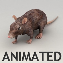 Ratte animiertes Modell Tier animierte Knochen Grau kvakling wenig niedrigere lowpoly säugetier Maus poly rig zu Fuß 3d print model - Mito3D