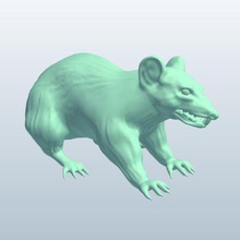 rat v2 sıçan hayvanlar yazdırılabilir lowpoly 3d print model - Mito3D