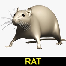 rat animal cat epidemic farm lab laboratory leo3dmodels model mouse rodent underground 3d print model - Mito3D