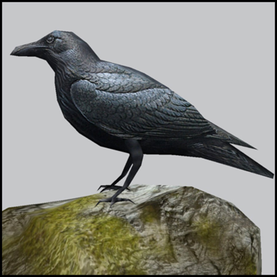 raven low poly animale bird nero crow gioco più in basso lowpoly poli thetexturestore 3D print model - Mito3D