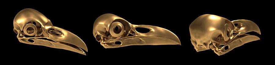 raven crâne 3d alexandr l'anatomie animal de l'architecture bas bec d'oiseaux os le buste crow l'aigle figurine fossile la liberté tête l'intérieur les mâchoires modèle pavljuk proie un soulagement sculpture statue symbole 3d print model - Mito3D