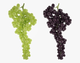 realista uvas negro de alimentos fresco la fruta jardín uva verde jugosa modelo naturaleza niza fotorrealista color púrpura r0stlslav real rojo los vegetales vid 3d print model - Mito3D