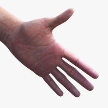 realistico mano l'anatomia braccio corpo la cattura carattere alle estremità per prima gioco ragazzi ha colpito umana gli arti maschio uomo modello palpazione persona punch realistici l'ictus touch yimitrg 3d print model - Mito3D