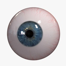 realistic human eye anatomy balls body character cornea cyberworlduser detail eyeballs female iris lens m male medical model people pupil science sclera texture vision 3d print model - Mito3D