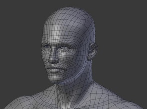 réaliste de l'homme mesh 3d l'anatomie corps bout à char caractère visage les organes génitaux tête haut bas moyen maillage modèle muscles poly the3dstore vertex femme 3d print model - Mito3D