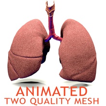 réaliste poumons d'animation l'anatomie animées corps caractère le cycle de l'homme du poumon médicaux la médecine modèle pulmonaire des voies respiratoires science système unjosnav 3d print model - Mito3D