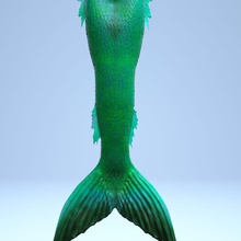 realistische Meerjungfrau Schwanz 3d Tier Charakter fee Fisch magnuscreative merman Modell realistisch sind Meer Sirene Märchen Frau 3d print model - Mito3D