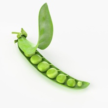 realistic peas beans eat food fruit garden green meal model nature nice nicemodels pea peapod pease photorealistic plant pod real salat vegetable 3d print model - Mito3D