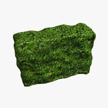 rectangular box hedge plants wildlife printable lowpoly 3d print model - Mito3D
