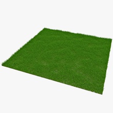rectangulaire herbe patch 3d molier de l'architecture éléments jardin l'herbe vert sol paysage la pelouse modèle nature le l'usine forme gazon végétation vray cour 3d print model - Mito3D