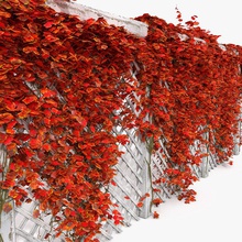 red autumn fall color colour colourful ivy white garden wooden fence arbor architecture climb forest gazebo litarvan model natural nature parking patio pavilion pergola plant porch residence summer summerhouse terrace wall wood 3d print model - Mito3D