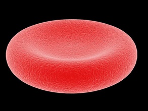 rote Blutkörperchen Anatomie Biologie Blut Körper Zelle Sammlung Verteidigung Erythrozyten Mensch die medizinische micros mikroskopische mike060187 Modell Sauerstoff rot Wissenschaft 3d print model - Mito3D