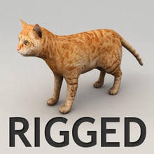 gato rojo aparejado modelo animal bípedo cat felino gatito kitty kvakling lowpoly de los mamíferos las mascotas aparejo siamés 3d print model - Mito3D