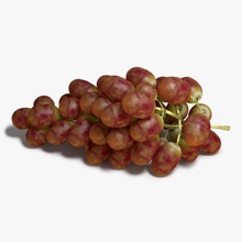 as uvas vermelhas a decoração alimentos frutas uva modelo polygonista vermelho videira vinho 3d print model - Mito3D