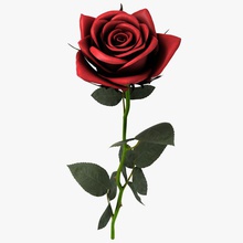 red rose Blume Modell pflanze rot th3d 3d print model - Mito3D