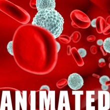 bianco rosso cellule del sangue l'anatomia animata arterie flusso sanguigno corpo caracollo cell carattere il dna salute umana linfociti medico microscopio microscopici modello red scienza scientifica 3d print model - Mito3D