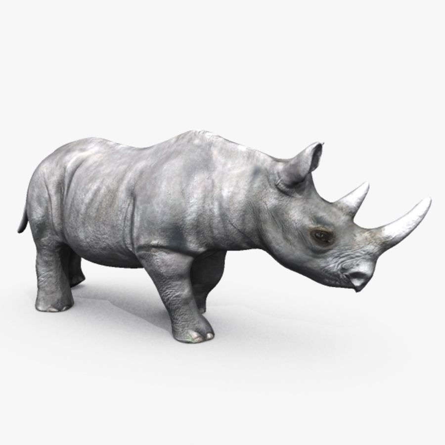 rhino áfrica animal herbívoro de los mamíferos michaeltaylor3d modelo el rinoceronte zoológico 3D print model - Mito3D