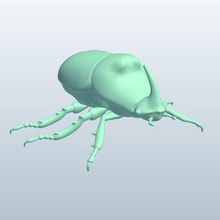 rhinoceros beetle v1 Nashorn Käfer Insekten bedruckbar ist lowpoly 3d print model - Mito3D