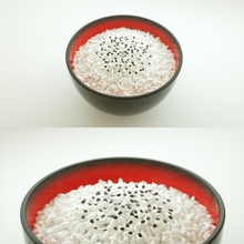rice bug663 cereal food grain model 3d print model - Mito3D