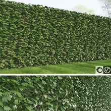 ricco di edera collezione esterno recinto fiore giardino erba verde ivy paesaggio foglia liana macrox modello natura all'aperto parcheggio la pianta ricchi albero verticale vitigno vigneto muro legno in 3d print model - Mito3D