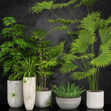 oda bitkiler cafe chlorophytum dekor dış çiçek form bahçe çim yeşil hedges manzara yaprak model açık palm otopark bitki pot rapi çalılar küçük küresel ağaç vazo zagg3d 3d print model - Mito3D