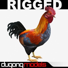 rooster animal bird chicken domestic dugm02 dugongmodels egg farm fowl gallina gallo game hen lower model poly 3d print model - Mito3D