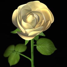 rose affiance anniversaire le bouquet jour de l'engagement floral la fleur jardin cadeau l'amour torsadé pekdemir pétale l'usine posy présent saint-valentin 3d print model - Mito3D