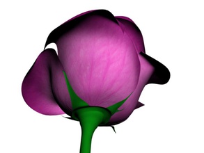 rose Blume Dekoration ferasjarwan Innenraum pflanze 3d print model - Mito3D