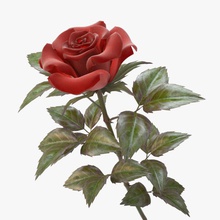 rojo de la rosa 3d 3ds ramo flores bud flor jardín hoja max modelo nardid pétalo color planta vray 3d print model - Mito3D