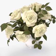 rosas, bouquet branco 3d 3ds buquê bud coleção flor jardim a folha max modelo nardid parque de estacionamento pétala cor-de-rosa planta realista vermelho subiu vray 3d print model - Mito3D