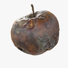 rotten decayed apple 03 architecture bad bin compost decaying dustbin fall food fruit fungus garbage garden junk litarvan litter mildew model mouldy musty old organic plant putrid smelt stink street trash waste 3d print model - Mito3D