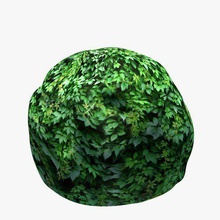 round box hedge v1 plants wildlife printable lowpoly 3d print model - Mito3D
