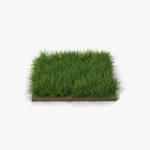 ryegrass 3d molier 3ds cover field floor forest garden grass green ground international land lawn model nature outdoor plant plantation realistic road season small soil terrain vray warm 3d print model - Mito3D