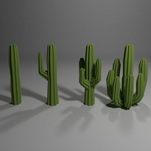saguaro brzydal cactus desert flower lower model okrutny plant poly stylized succulent 3d print model - Mito3D