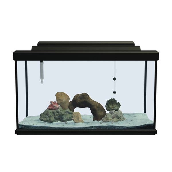 saltwater aquarium v1 household items printable lowpoly 3D print model - Mito3D