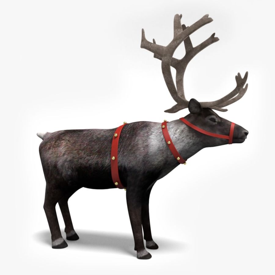 santa Rentier abramsdesign Tier Geweihe buck Weihnachten Reh Urlaub säugetier Modell Rentiere rudolph s wildlife xmas 3D print model - Mito3D