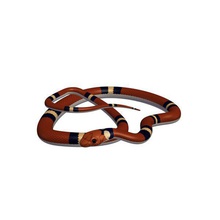 scarlet snake v1 animals printable lowpoly 3d print model - Mito3D