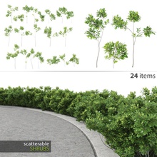 scatterable çalılar geniş yapraklı küme corona çit alan yeşillik orman bahçe hedges manzara macrox model multiscatter açık paketi otopark bitki proxy saçılma sitesi küçük duvar 3d print model - Mito3D