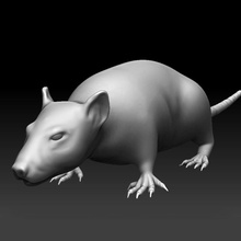 sculpted rat animal dangerous detail gnawer high highpoly mamal model mouse nimble poly realistic res rodent sculpt smooth yarmade 3d print model - Mito3D