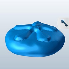 deniz kum dolar v1 bisküvi balık su hayat yazdırılabilir lowpoly 3d print model - Mito3D