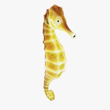 seahorse 2 3d 3ds amphibiens animal aqua dolphin du poisson bon cheval irrfeuer les méduses max de modèle l'océan ray la mer l'hippocampe seepferdchen le requin étoiles tortue sous-marin wale l'eau jaune 3d print model - Mito3D