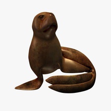 seal v1 statue statues busts printable lowpoly 3d print model - Mito3D