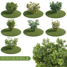 seven bushes 2 collection corona exterior field flower foliage garden hedges landscape leaf macrox model nature outdoor parking plant ray realistic set shrubs tree v 3d print model - Mito3D