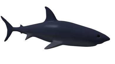 le requin 3d de l'espoir animal les créatures du poisson grand mâchoires modèle morph morphing l'océan réaliste la mer dents blanc 3d print model - Mito3D