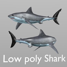 shark low poly animal carnivore creatures game hanz3d lower lowpoly model sea 3d print model - Mito3D