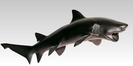 el tiburón 3d animal grande carcharias carcharodon cnc criaturas de pescado gran alta la suerte cazador 2008 en marina modelo morphing océano depredador imprimible imprime realista mar surf blanco 3d print model - Mito3D